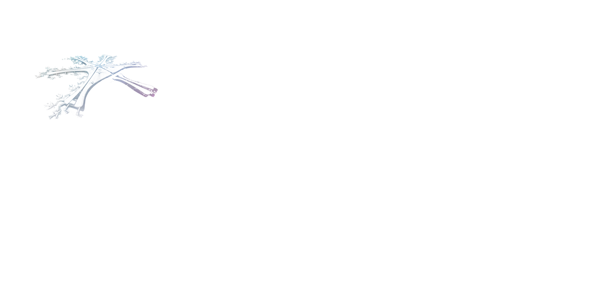 寶鷹